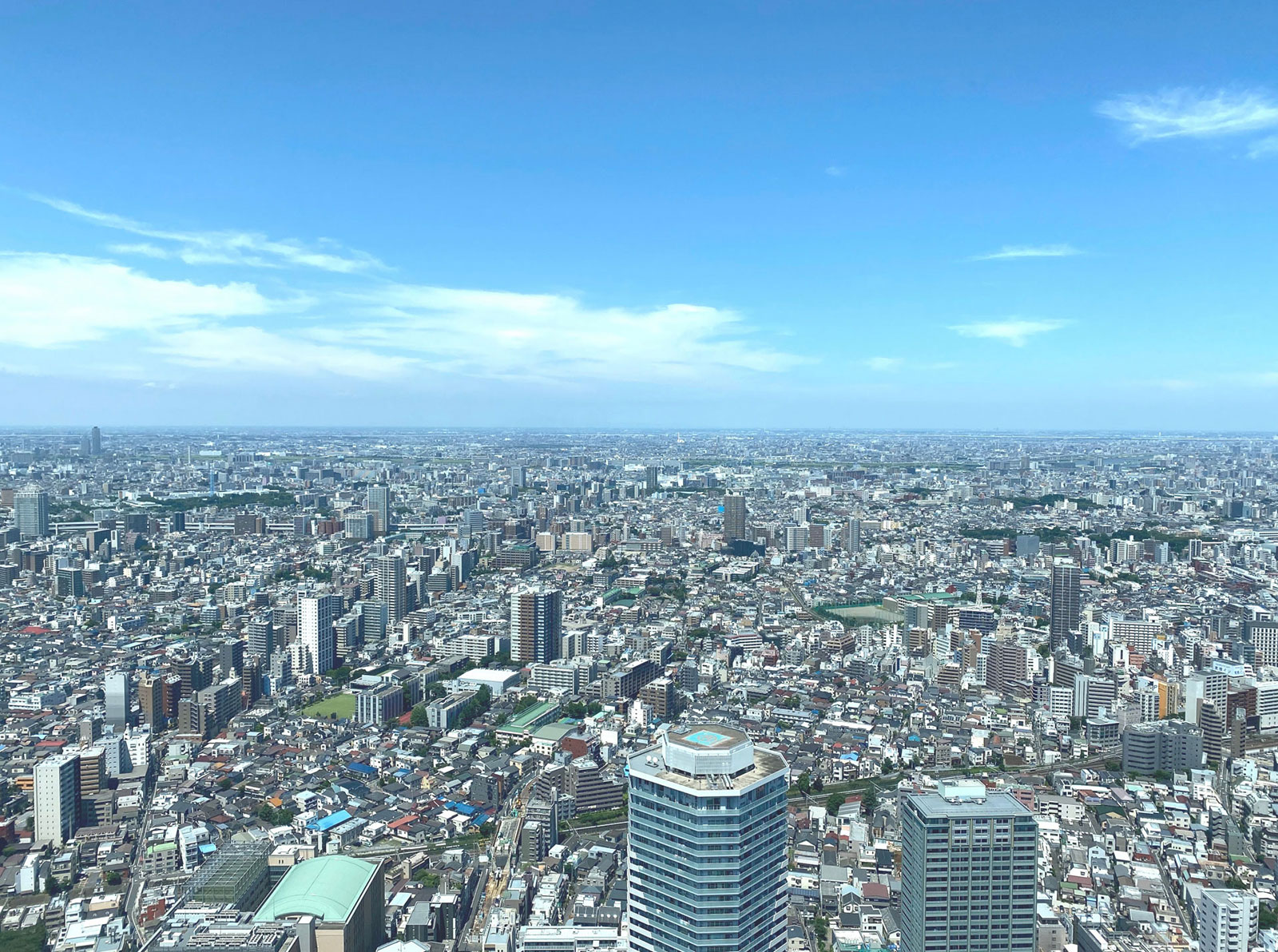 ホームページ制作プランの背景